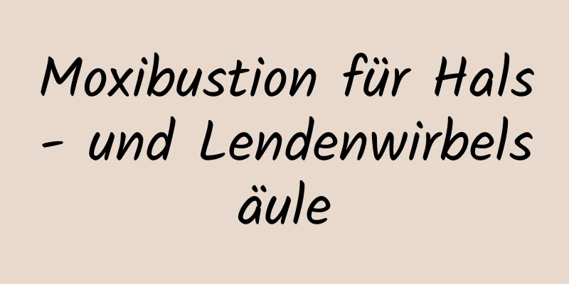 Moxibustion für Hals- und Lendenwirbelsäule