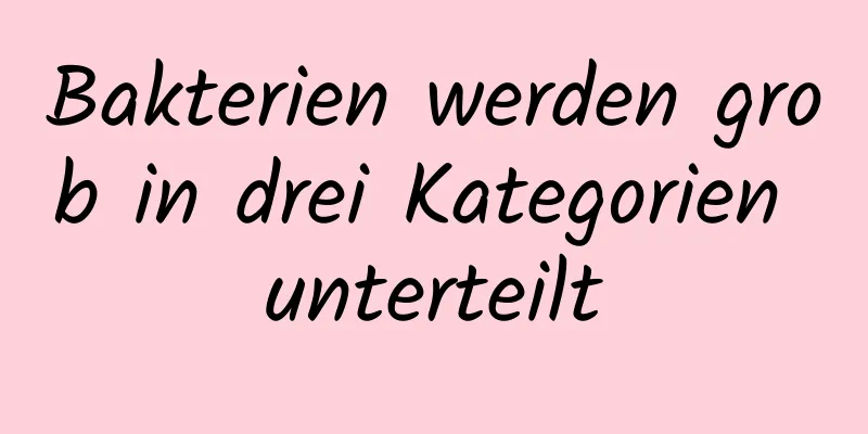 Bakterien werden grob in drei Kategorien unterteilt