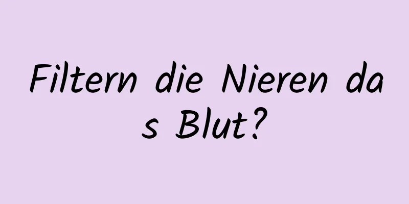 Filtern die Nieren das Blut?