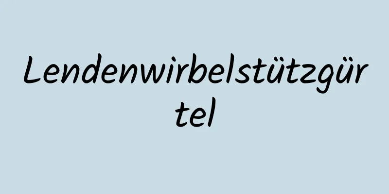 Lendenwirbelstützgürtel