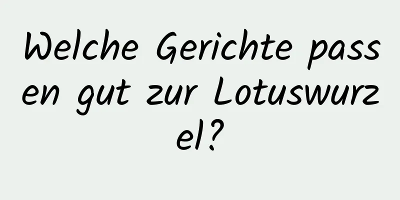Welche Gerichte passen gut zur Lotuswurzel?
