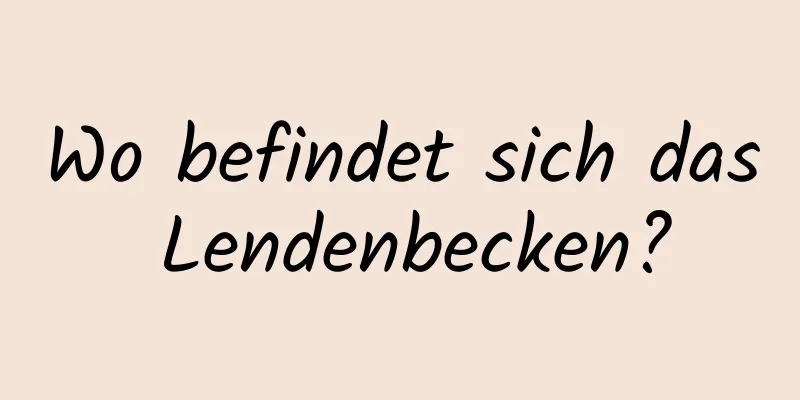Wo befindet sich das Lendenbecken?