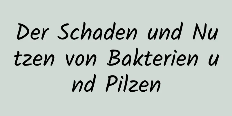 Der Schaden und Nutzen von Bakterien und Pilzen