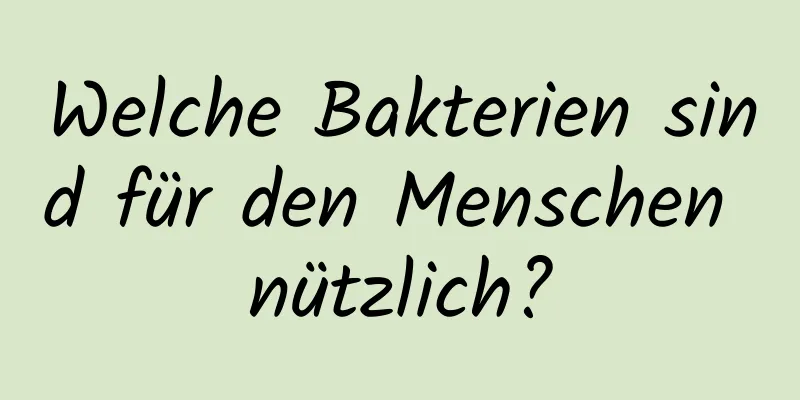 Welche Bakterien sind für den Menschen nützlich?