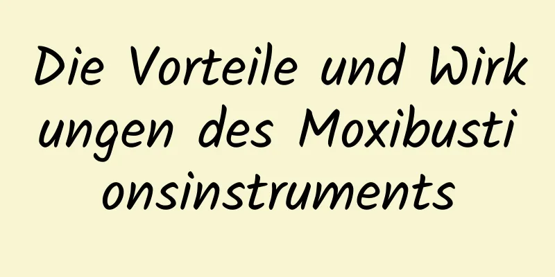 Die Vorteile und Wirkungen des Moxibustionsinstruments