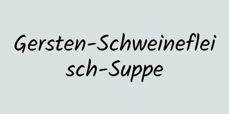 Gersten-Schweinefleisch-Suppe