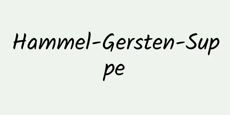 Hammel-Gersten-Suppe