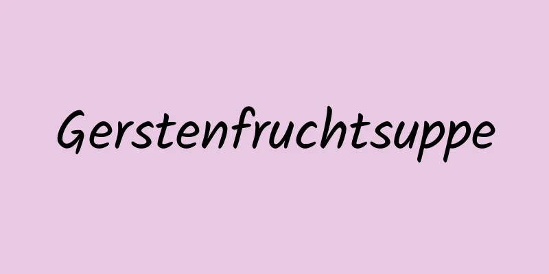 Gerstenfruchtsuppe