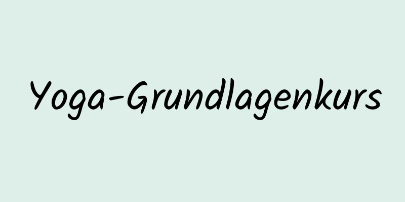Yoga-Grundlagenkurs
