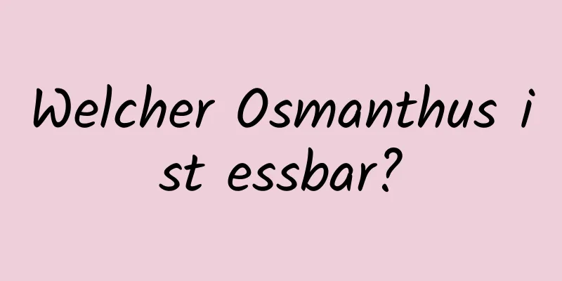 Welcher Osmanthus ist essbar?