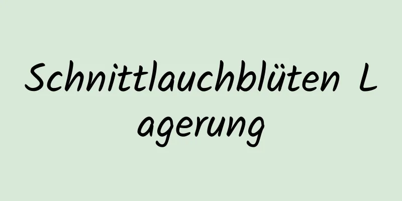 Schnittlauchblüten Lagerung