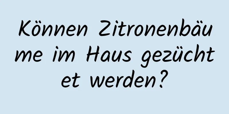 Können Zitronenbäume im Haus gezüchtet werden?