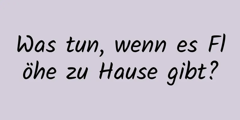 Was tun, wenn es Flöhe zu Hause gibt?