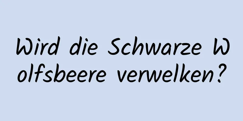 Wird die Schwarze Wolfsbeere verwelken?