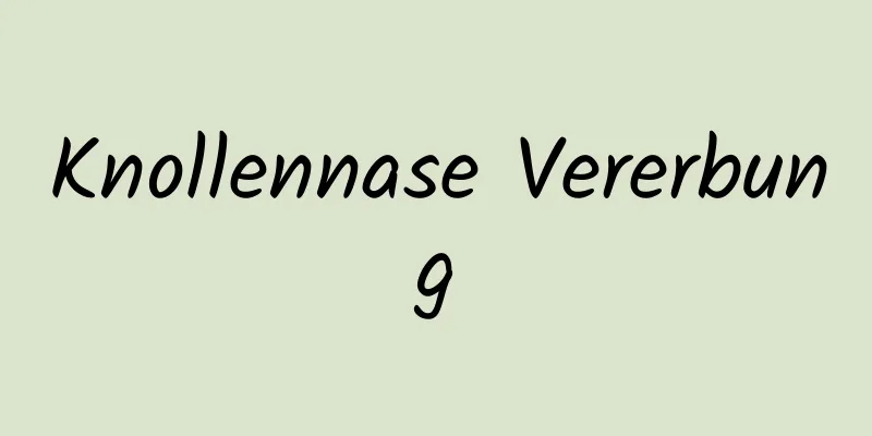 Knollennase Vererbung