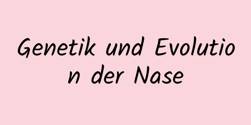 Genetik und Evolution der Nase