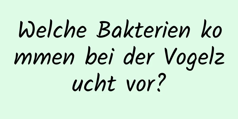 Welche Bakterien kommen bei der Vogelzucht vor?