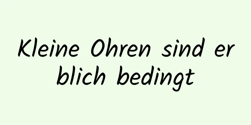 Kleine Ohren sind erblich bedingt