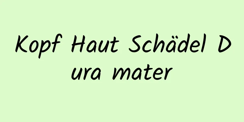 Kopf Haut Schädel Dura mater