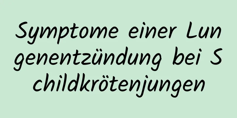 Symptome einer Lungenentzündung bei Schildkrötenjungen