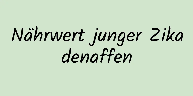 Nährwert junger Zikadenaffen
