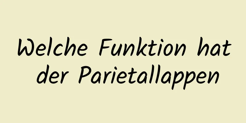 Welche Funktion hat der Parietallappen