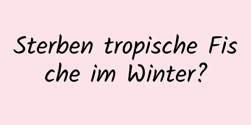Sterben tropische Fische im Winter?