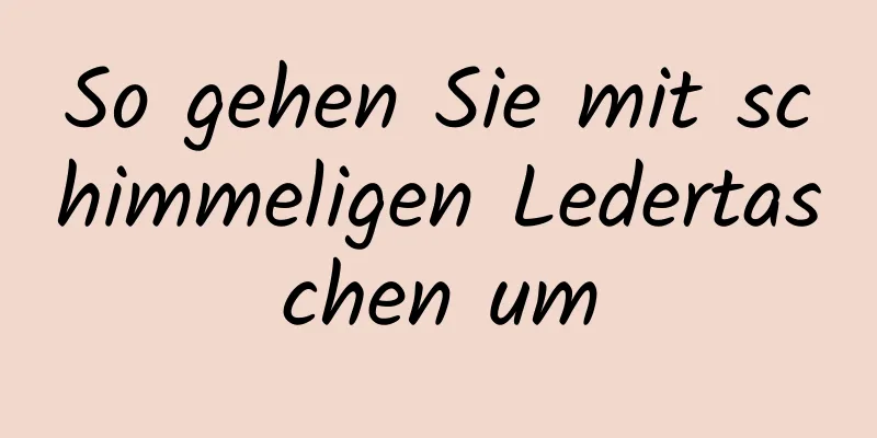 So gehen Sie mit schimmeligen Ledertaschen um