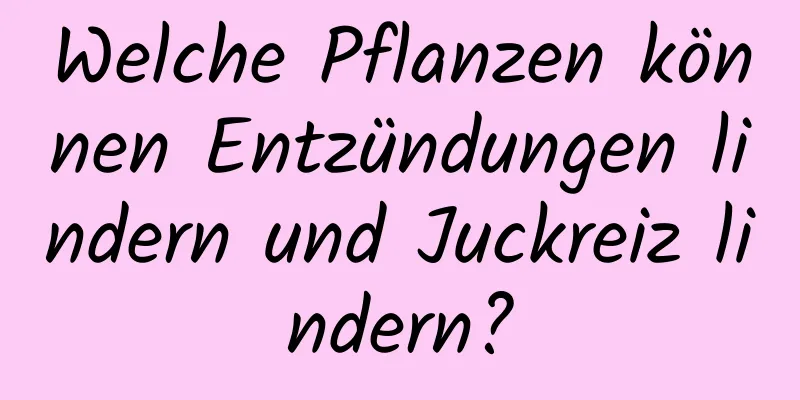 Welche Pflanzen können Entzündungen lindern und Juckreiz lindern?