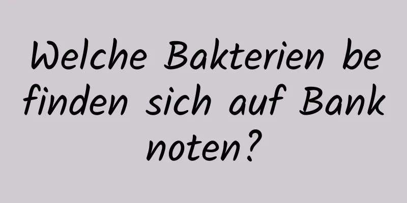 Welche Bakterien befinden sich auf Banknoten?