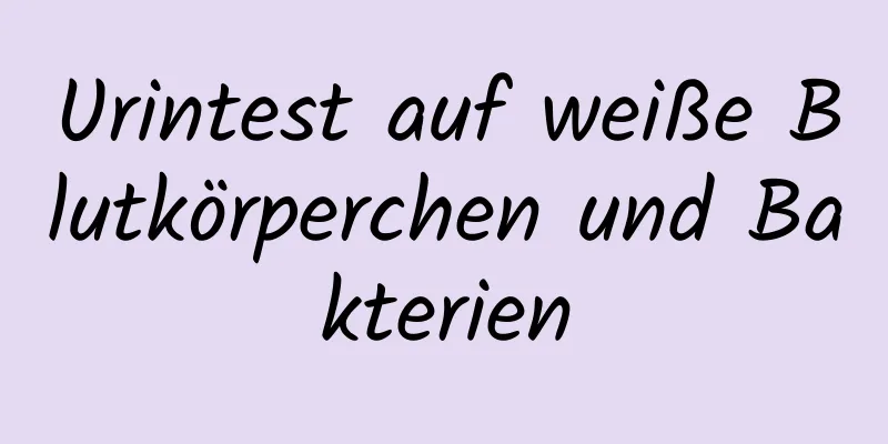 Urintest auf weiße Blutkörperchen und Bakterien