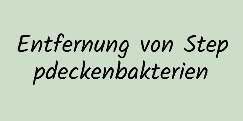 Entfernung von Steppdeckenbakterien