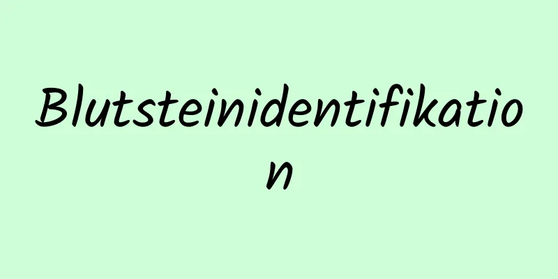 Blutsteinidentifikation