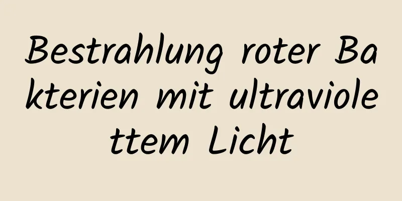 Bestrahlung roter Bakterien mit ultraviolettem Licht