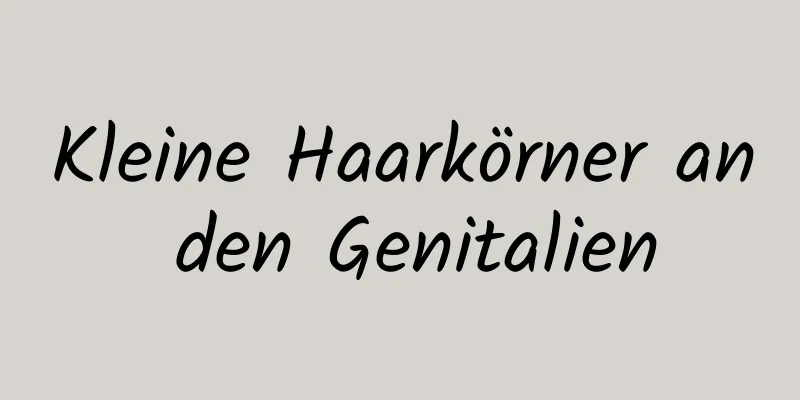 Kleine Haarkörner an den Genitalien