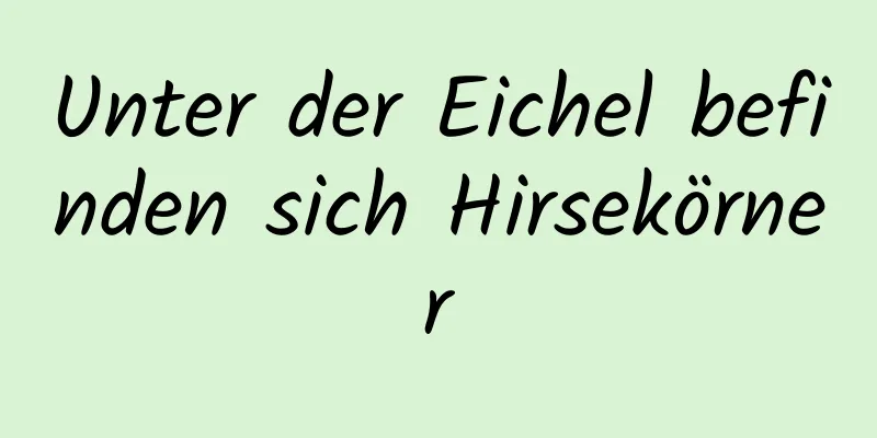 Unter der Eichel befinden sich Hirsekörner