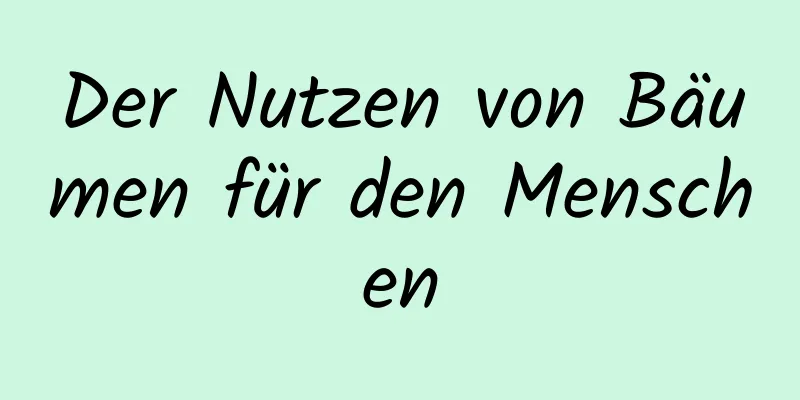 Der Nutzen von Bäumen für den Menschen