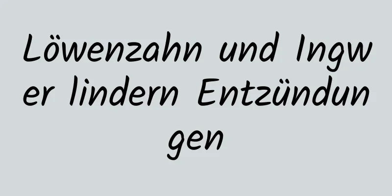 Löwenzahn und Ingwer lindern Entzündungen