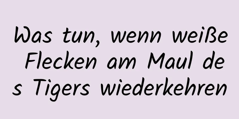 Was tun, wenn weiße Flecken am Maul des Tigers wiederkehren