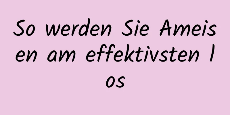 So werden Sie Ameisen am effektivsten los