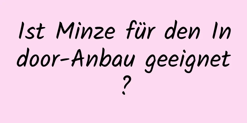 Ist Minze für den Indoor-Anbau geeignet?
