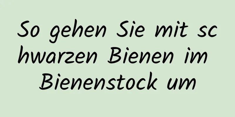 So gehen Sie mit schwarzen Bienen im Bienenstock um