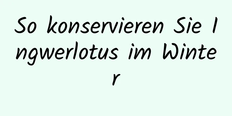 So konservieren Sie Ingwerlotus im Winter