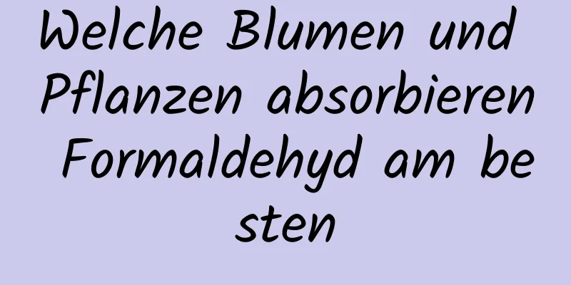 Welche Blumen und Pflanzen absorbieren Formaldehyd am besten