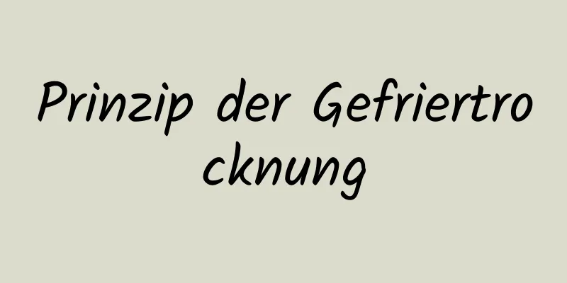 Prinzip der Gefriertrocknung