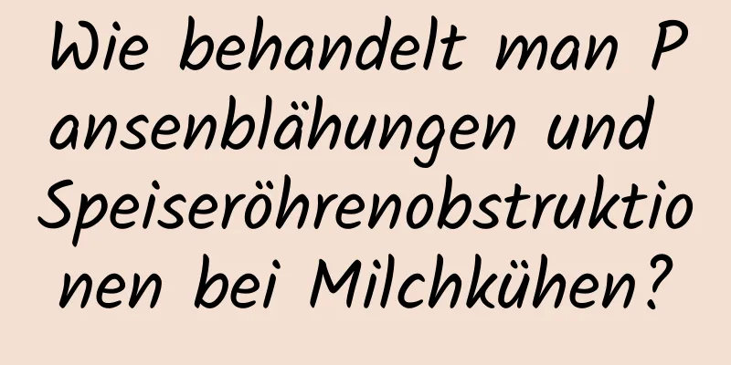 Wie behandelt man Pansenblähungen und Speiseröhrenobstruktionen bei Milchkühen?