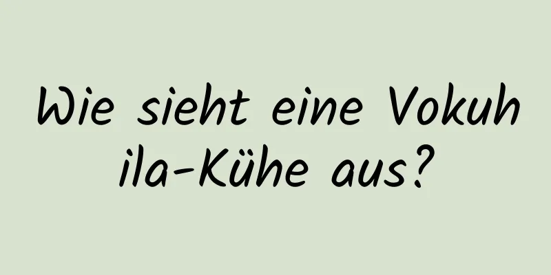 Wie sieht eine Vokuhila-Kühe aus?