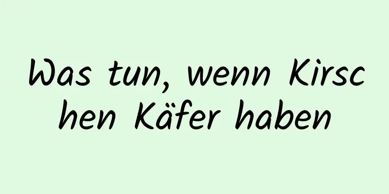 Was tun, wenn Kirschen Käfer haben