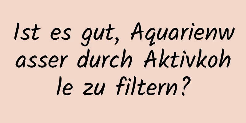 Ist es gut, Aquarienwasser durch Aktivkohle zu filtern?
