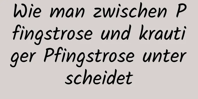 Wie man zwischen Pfingstrose und krautiger Pfingstrose unterscheidet
